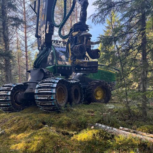 Kundreferens East Loggers AB