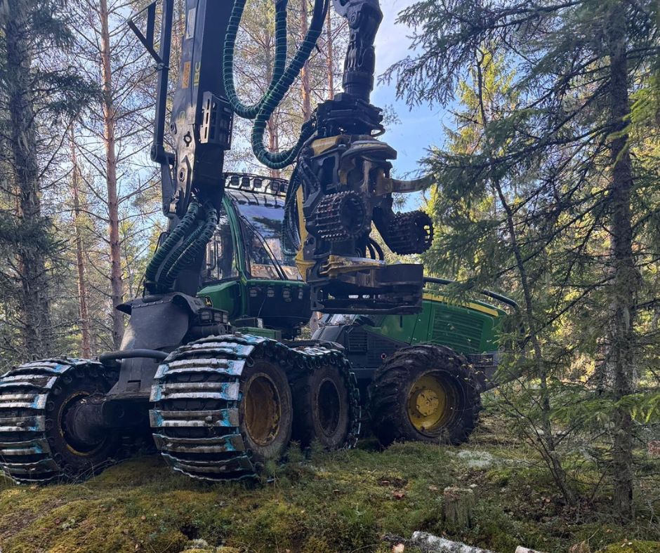 Kundreferens East Loggers AB